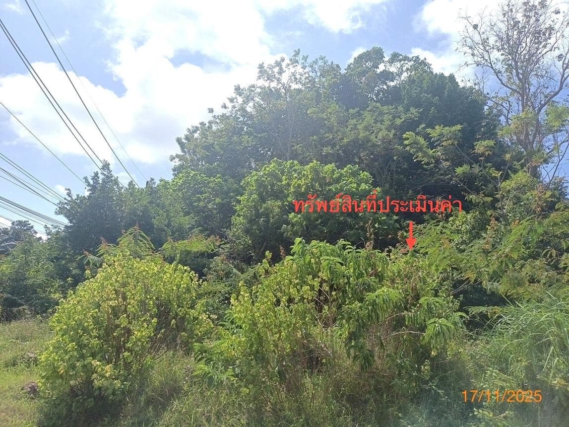 ที่ดินเปล่า พื้นที่ 13 ตร.ว. ทำเลศักยภาพ ศาลาด่าน เกาะลันตา กระบี่