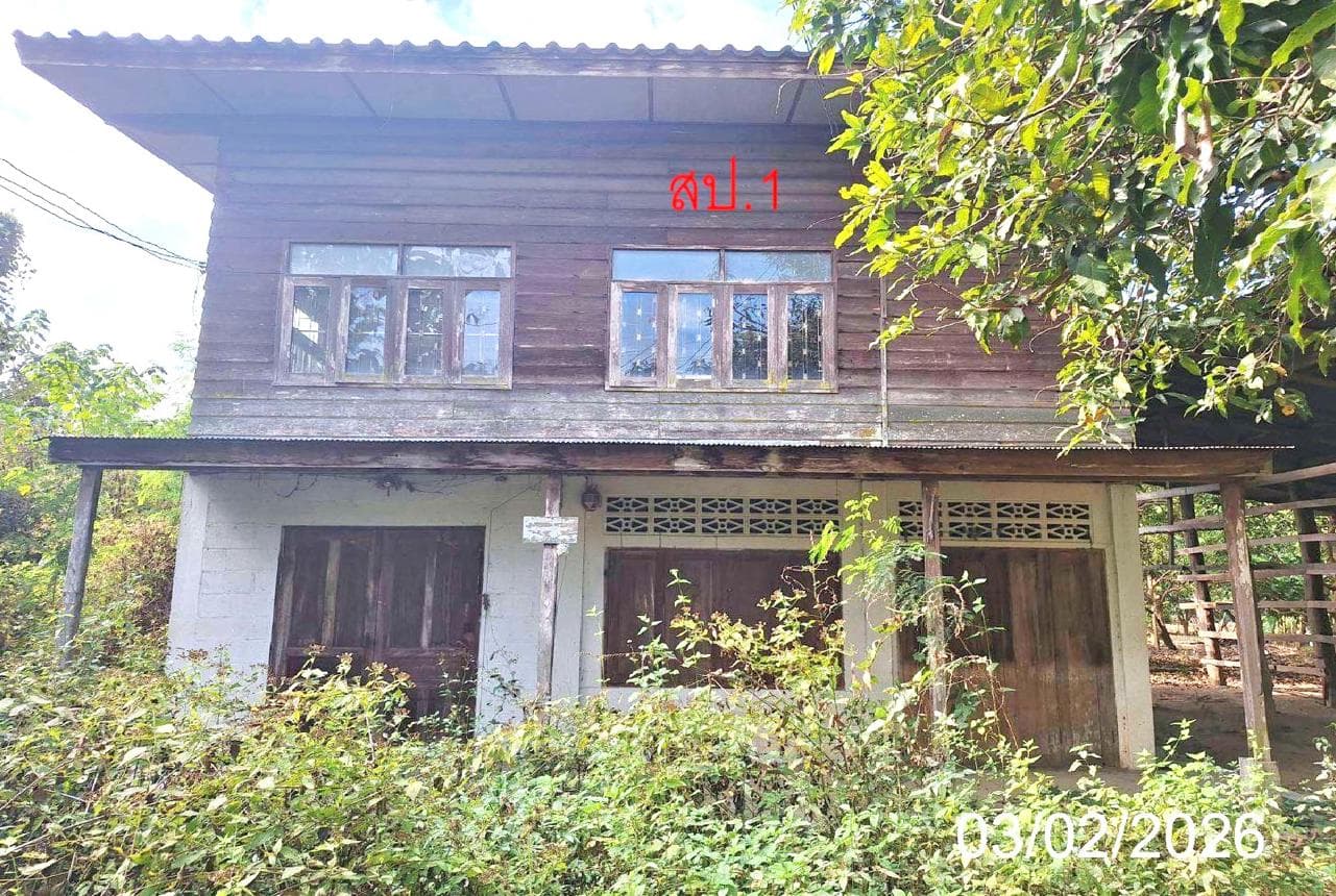 บ้านเดี่ยว ศรีเตี้ย บ้านโฮ่ง ลำพูน พื้นที่ 69.6 ตร.ว. พื้นที่ใช้สอย 142.5 ตร.ม. ราคาคุ้มค่า