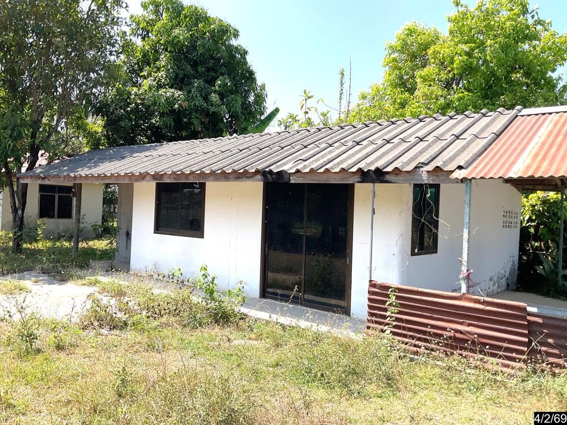 บ้านเดี่ยว 2 ห้องนอน พื้นที่ 118.75 ตร.ม. ทำเลศักยภาพ ไพศาล ประโคนชัย บุรีรัมย์
