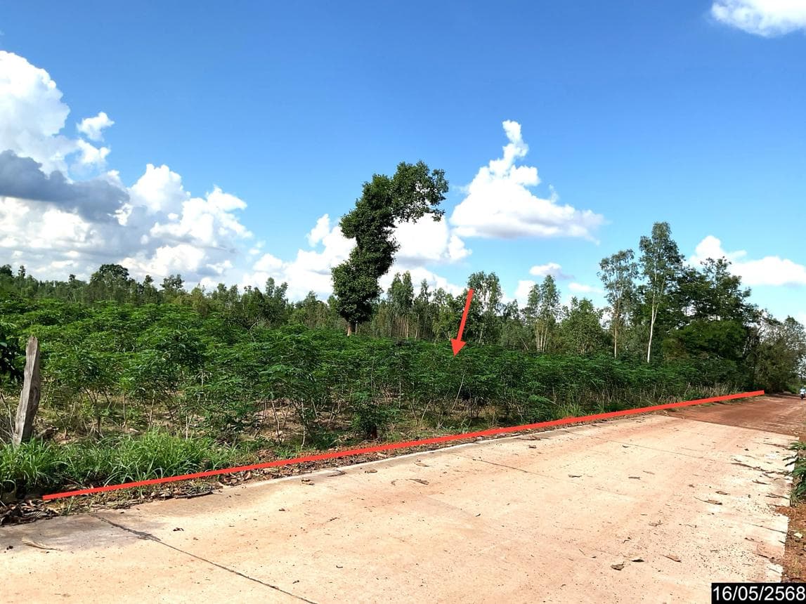 ขายที่ดินเปล่า หนองหาน อุดรธานี ทำเลหนองไผ่ พื้นที่ศักยภาพเพื่อการเกษตรและการลงทุนระยะยาว