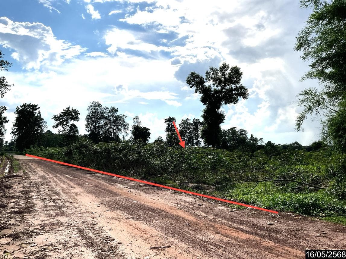 ขายที่ดินเปล่า หนองหาน อุดรธานี ทำเลหนองไผ่ พื้นที่ศักยภาพเพื่อการเกษตรและการลงทุนระยะยาว