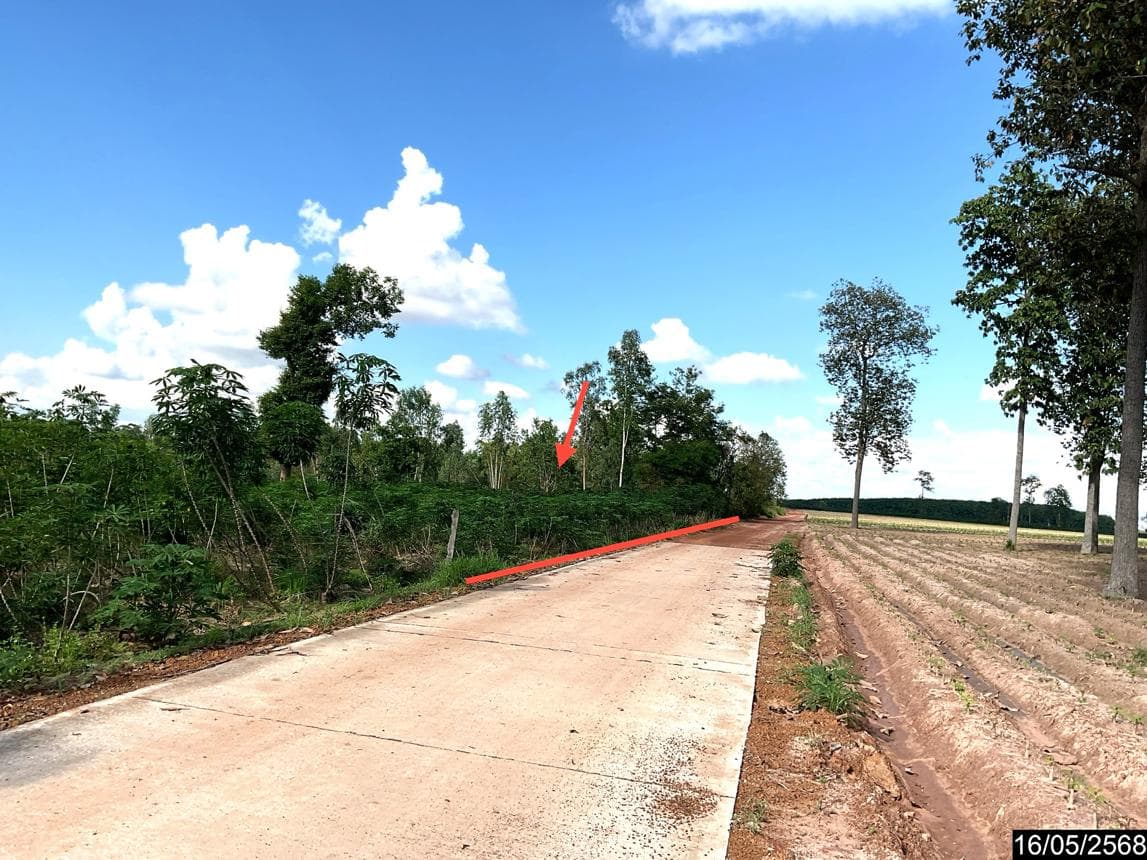 ขายที่ดินเปล่า หนองหาน อุดรธานี ทำเลหนองไผ่ พื้นที่ศักยภาพเพื่อการเกษตรและการลงทุนระยะยาว