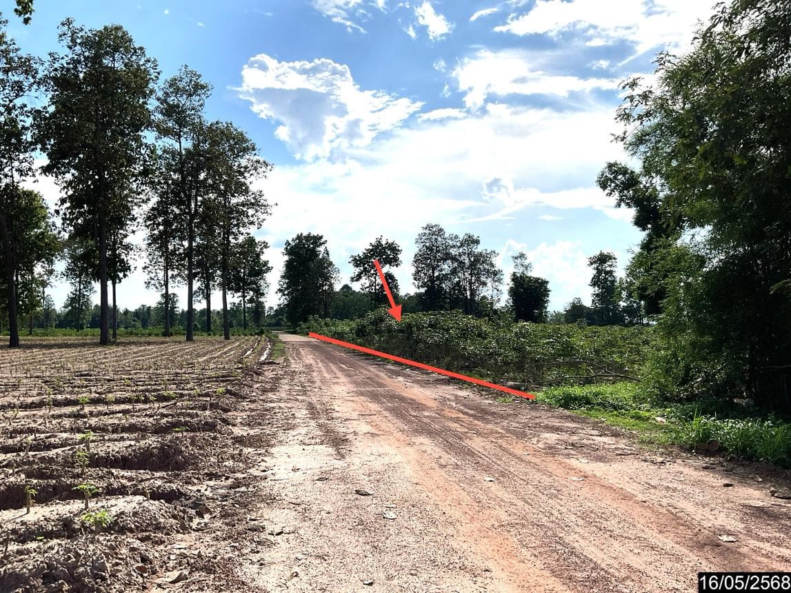 ขายที่ดินเปล่า หนองหาน อุดรธานี ทำเลหนองไผ่ พื้นที่ศักยภาพเพื่อการเกษตรและการลงทุนระยะยาว