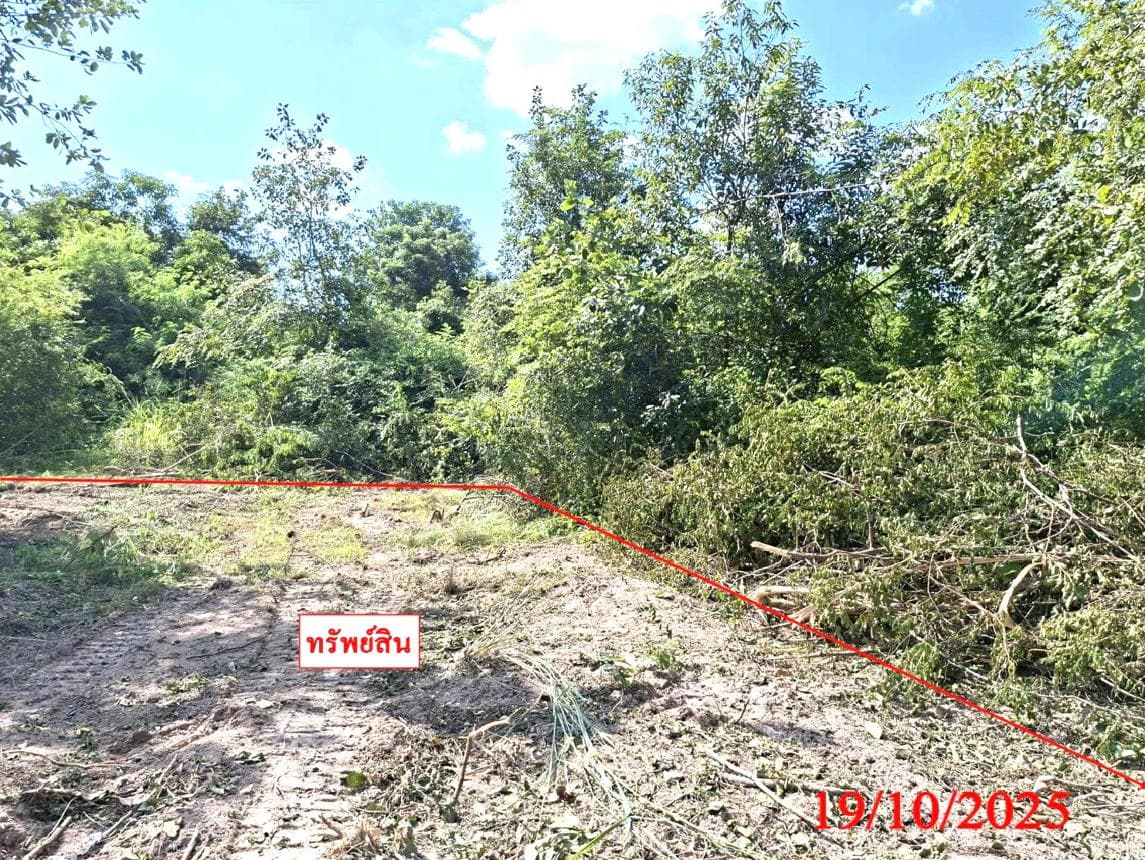 ขายที่ดินเปล่า สันป่าตอง เชียงใหม่ ทำเลบ้านกลาง เนื้อที่ 38 ตร.ว. เหมาะสำหรับสร้างที่อยู่อาศัยและลงทุน