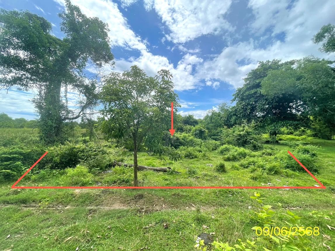 ที่ดินเปล่า 61.8 ตร.ว. ทำเลศักยภาพ เหมาะสร้างบ้าน ควนลัง หาดใหญ่ สงขลา