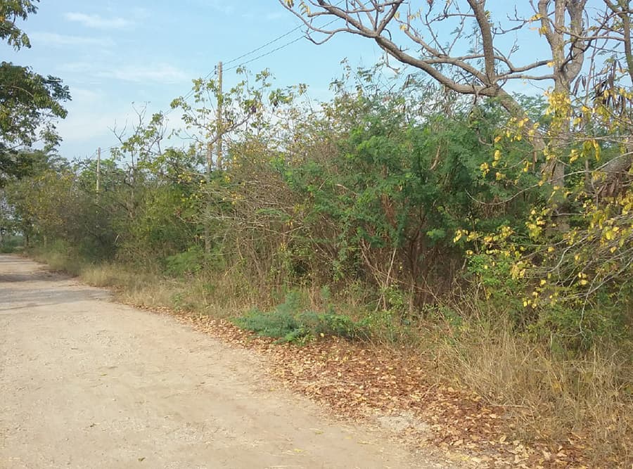 ที่ดินเปล่า เมืองเพชรบุรี เพชรบุรี