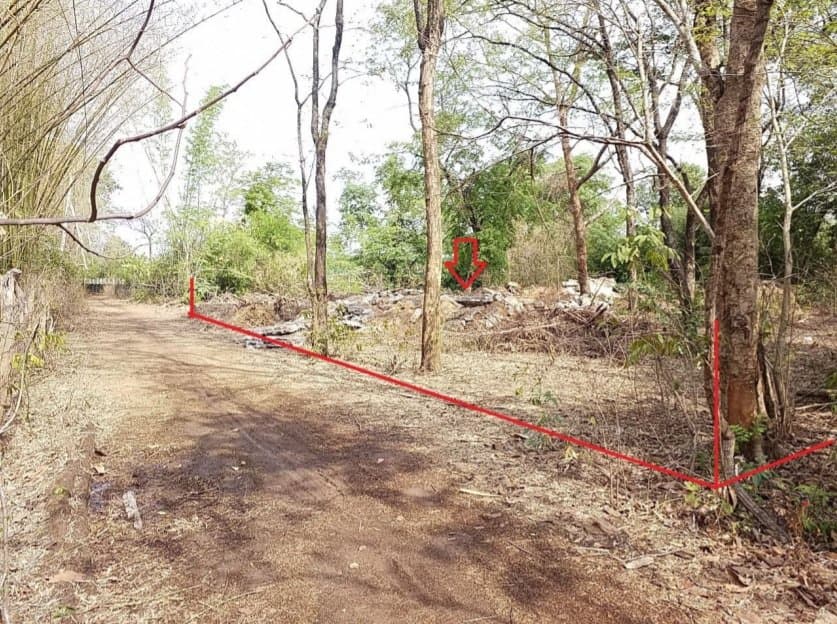 ที่ดินว่างเปล่า เมืองอำนาจเจริญ