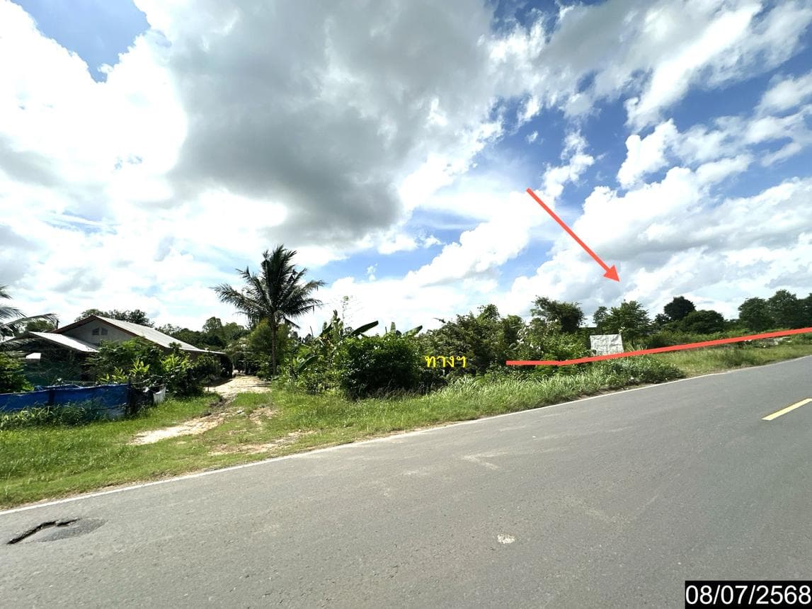 ขายที่ดิน นาจะหลวย นาจะหลวย อุบลราชธานี