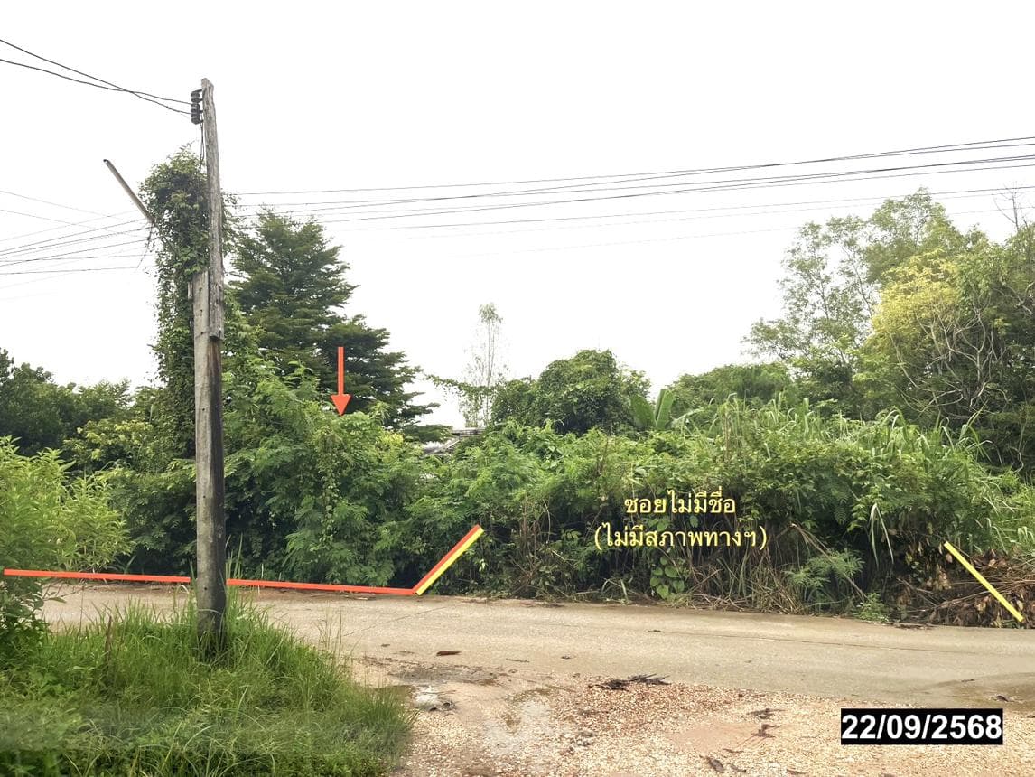 บ้านเดี่ยว หนองปลาปาก ศรีเชียงใหม่ หนองคาย 4 ห้องนอน 1 ห้องน้ำ พื้นที่ 43.5 ตร.ม. ทำเลสงบเดินทางสะดวก ราคาพิเศษ 7.1 แสน