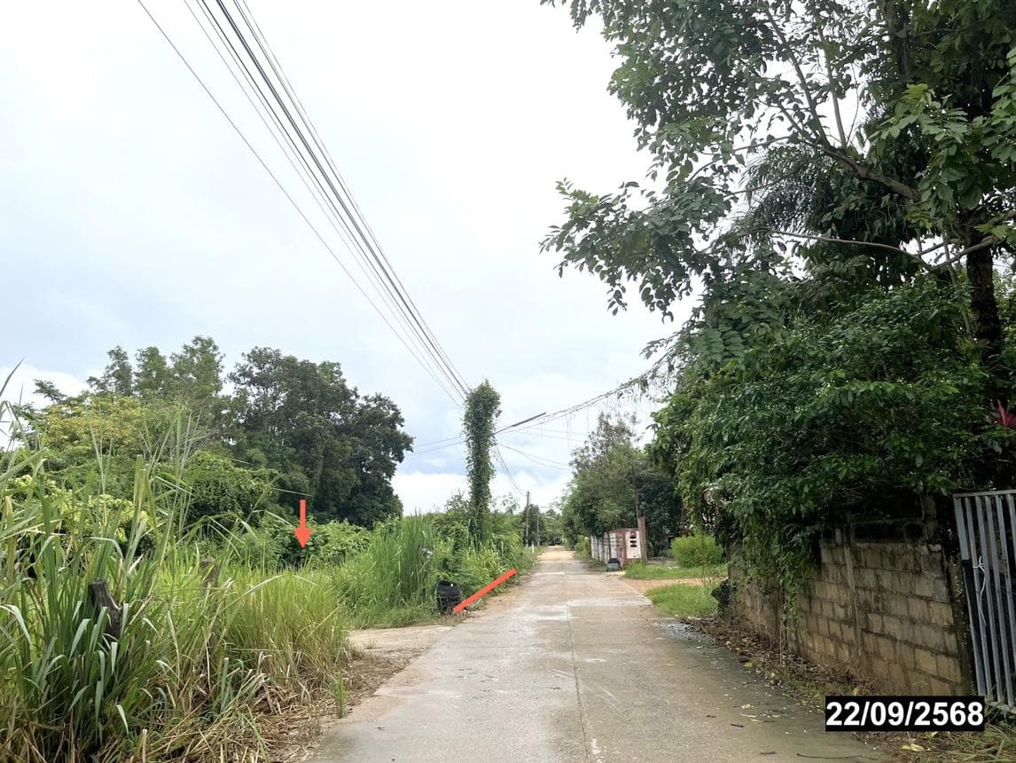 บ้านเดี่ยว หนองปลาปาก ศรีเชียงใหม่ หนองคาย 4 ห้องนอน 1 ห้องน้ำ พื้นที่ 43.5 ตร.ม. ทำเลสงบเดินทางสะดวก ราคาพิเศษ 7.1 แสน