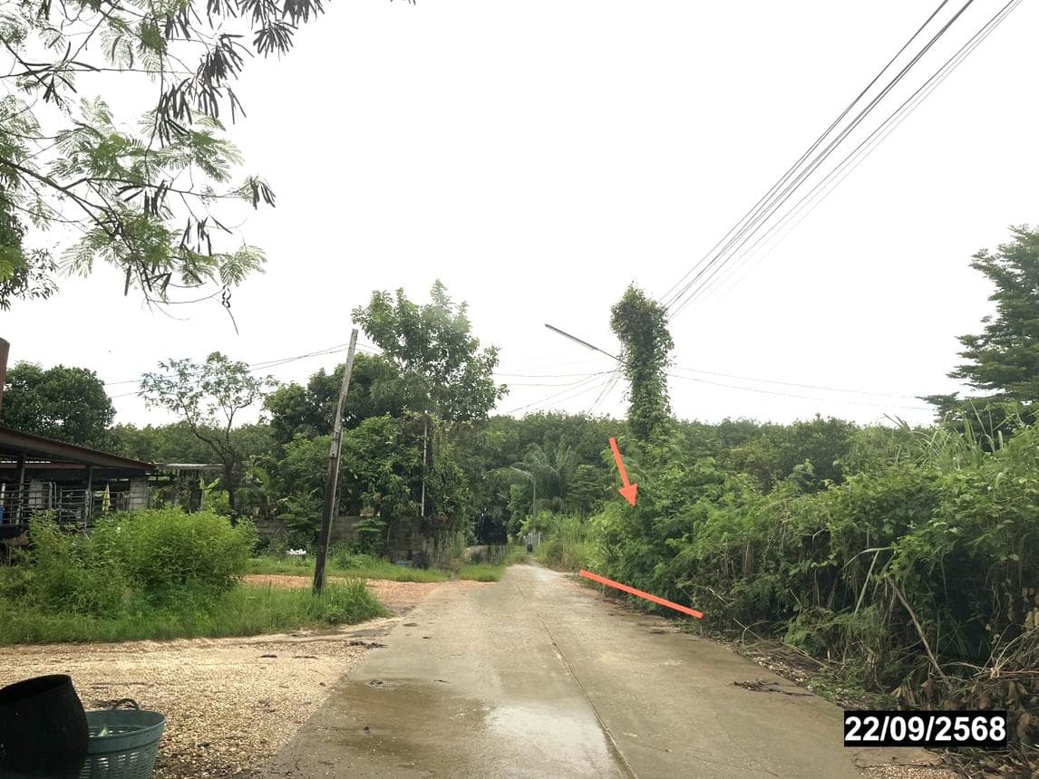 บ้านเดี่ยว หนองปลาปาก ศรีเชียงใหม่ หนองคาย 4 ห้องนอน 1 ห้องน้ำ พื้นที่ 43.5 ตร.ม. ทำเลสงบเดินทางสะดวก ราคาพิเศษ 7.1 แสน
