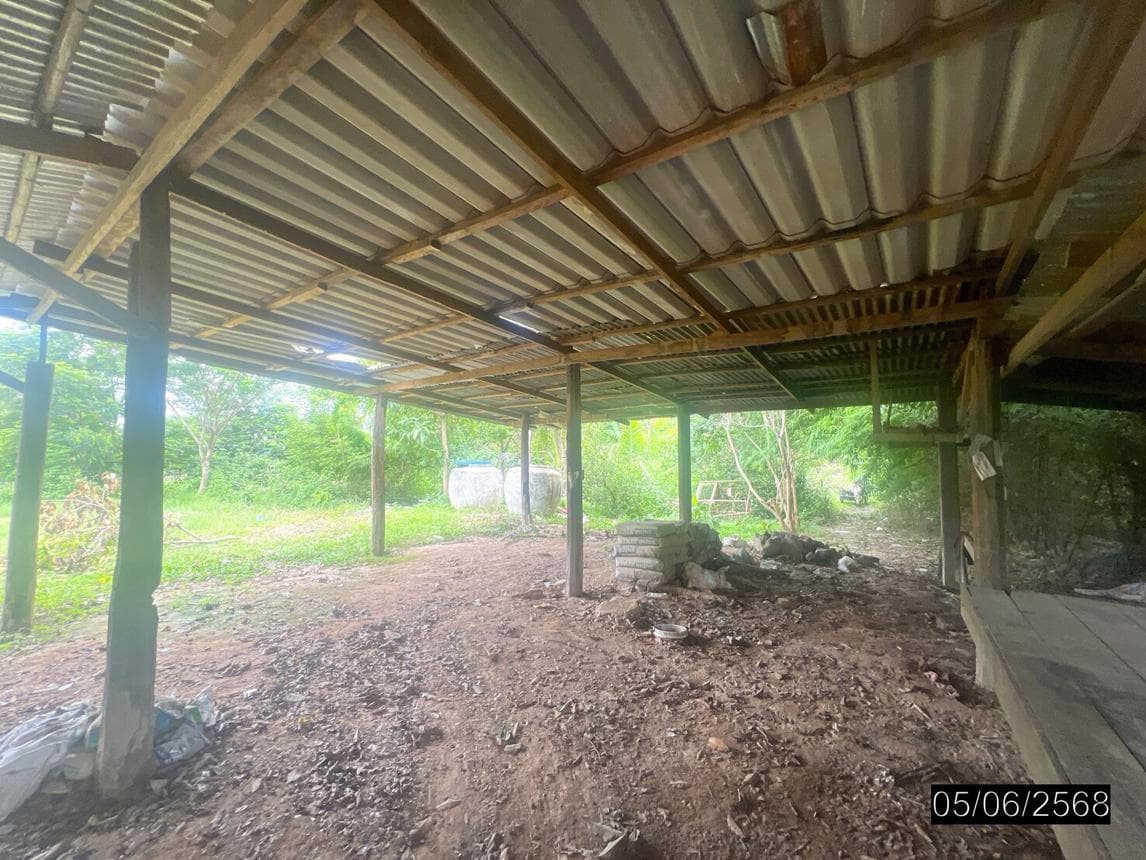 ขายบ้านเดี่ยว หนองมะแซว เมืองอำนาจเจริญ พื้นที่ 80 ตร.ว. สเปซกว้าง 144 ตร.ม. ทำเลสงบ