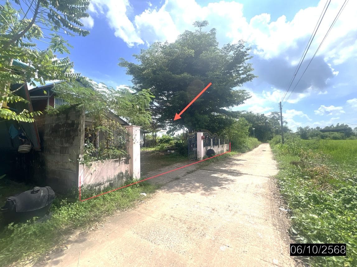 บ้านเดี่ยวหลังใหญ่ 3 ห้องนอน พื้นที่ใช้สอย 263 ตร.ม. ทำเลนาสะไมย์ เมืองยโสธร บรรยากาศส่วนตัว ราคาไม่ถึง 2 ล้าน