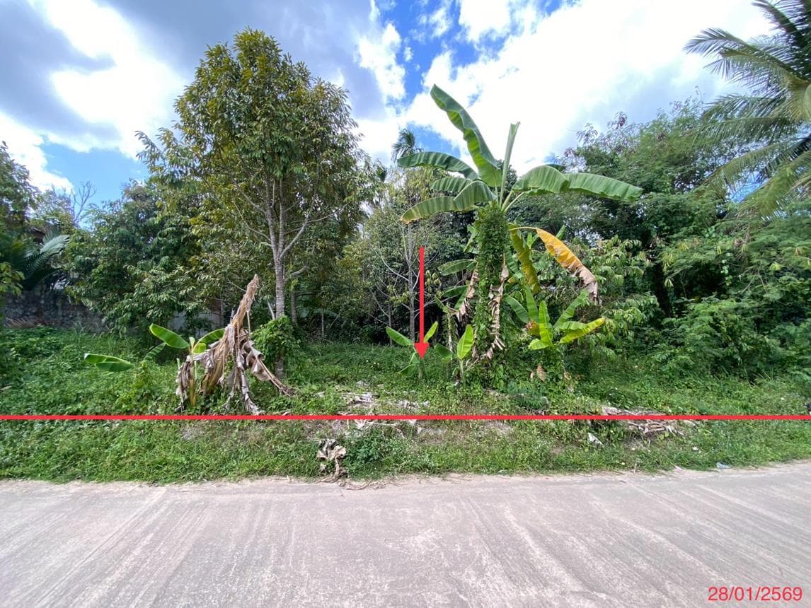 ที่ดินเปล่า ทับช้าง นาทวี สงขลา เนื้อที่ 82.6 ตร.ว. ราคาไม่ถึง 5 แสน เหมาะสร้างบ้านหรือลงทุน