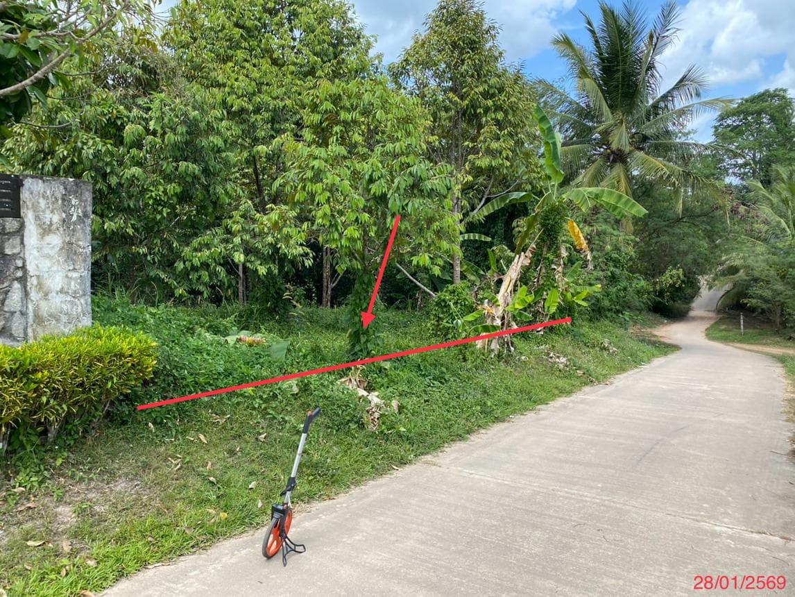 ที่ดินเปล่า ทับช้าง นาทวี สงขลา เนื้อที่ 82.6 ตร.ว. ราคาไม่ถึง 5 แสน เหมาะสร้างบ้านหรือลงทุน