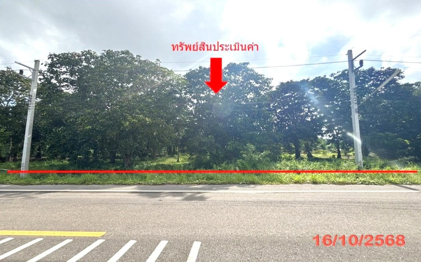 ขายที่ดินเปล่า เมืองสุราษฎร์ธานี โซนคลองน้อย 79.5 ตร.ว. ทำเลสงบ เดินทางสะดวก เหมาะสร้างที่อยู่อาศัยหรือลงทุน