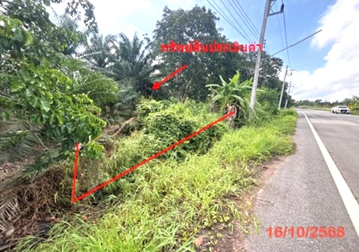 ขายที่ดินเปล่า เมืองสุราษฎร์ธานี โซนคลองน้อย 79.5 ตร.ว. ทำเลสงบ เดินทางสะดวก เหมาะสร้างที่อยู่อาศัยหรือลงทุน