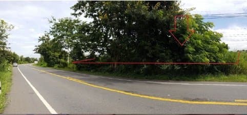 ที่ดินว่างเปล่า แม่ต่ำ เชียงคำ-พะเยา