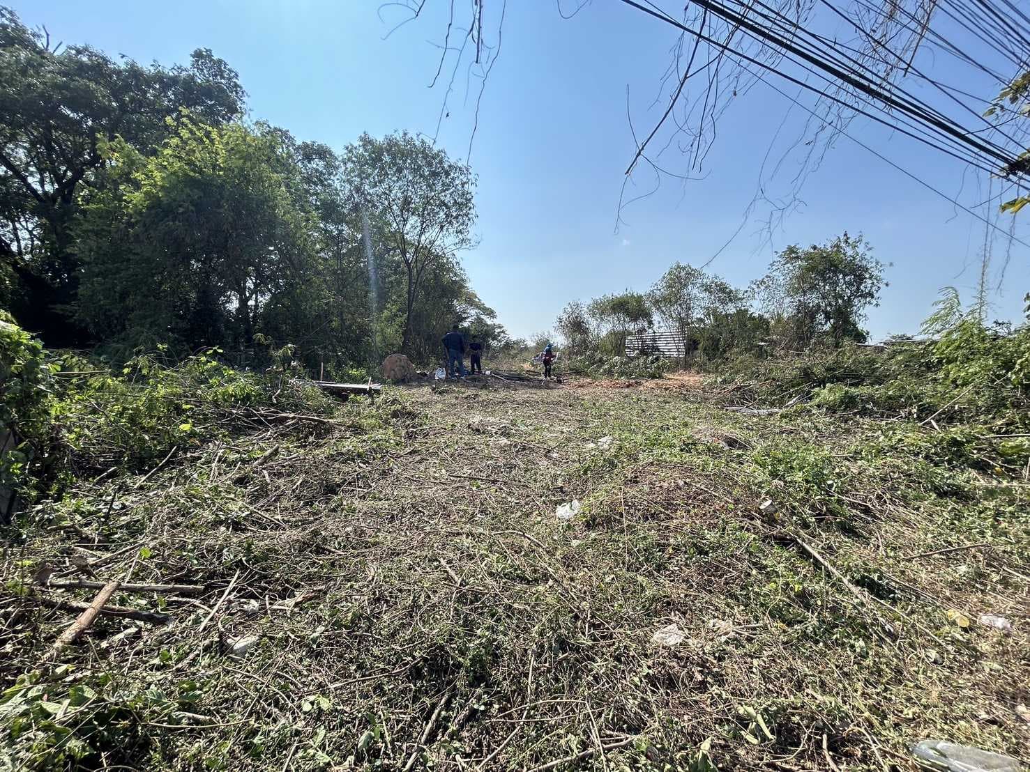 ที่ดิน จังหวัดพิษณุโลก