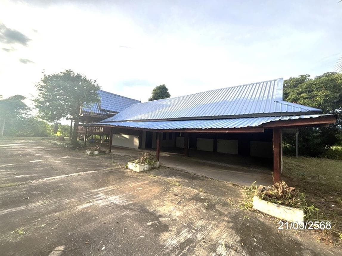บ้านเดี่ยวทำเลศักยภาพ กระโพ ท่าตูม สุรินทร์ พื้นที่ดินกว้างขวาง 87 ตร.ว.