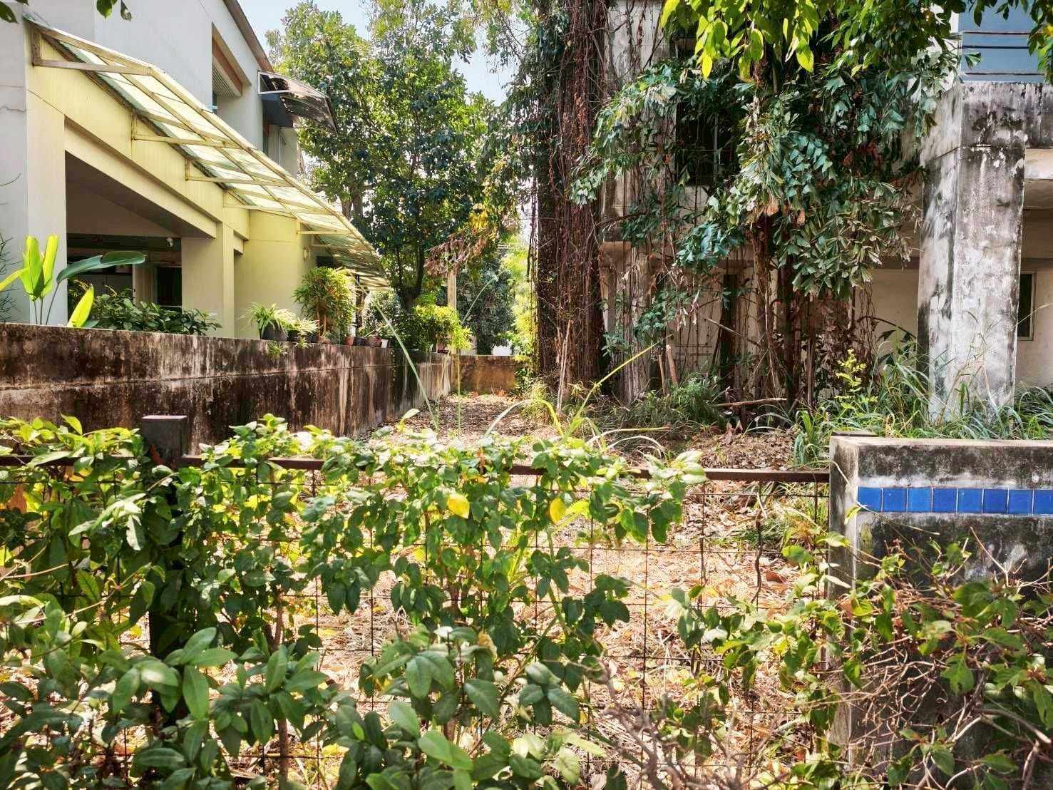 ที่ดินพร้อมสิ่งปลูกสร้าง 71 ตร.ว. หมู่บ้านโนเบิลโฮม บางพลี ตำบลบางพลีใหญ่ อำเภอบางพลี จังหวัดสมุทรปราการ ราคา 3,690,000 บาท