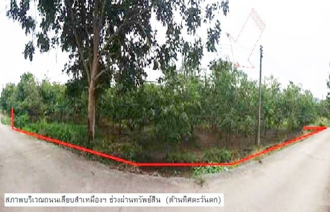 ที่ดินว่างเปล่า บ้านโฮ่ง-ลำพูน