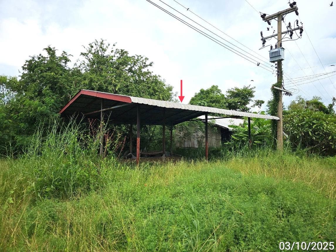 บ้านเดี่ยว 1 ห้องนอน พื้นที่ 95.25 ตร.ม. ทำเลศักยภาพ วังหลุม ตะพานหิน พิจิตร