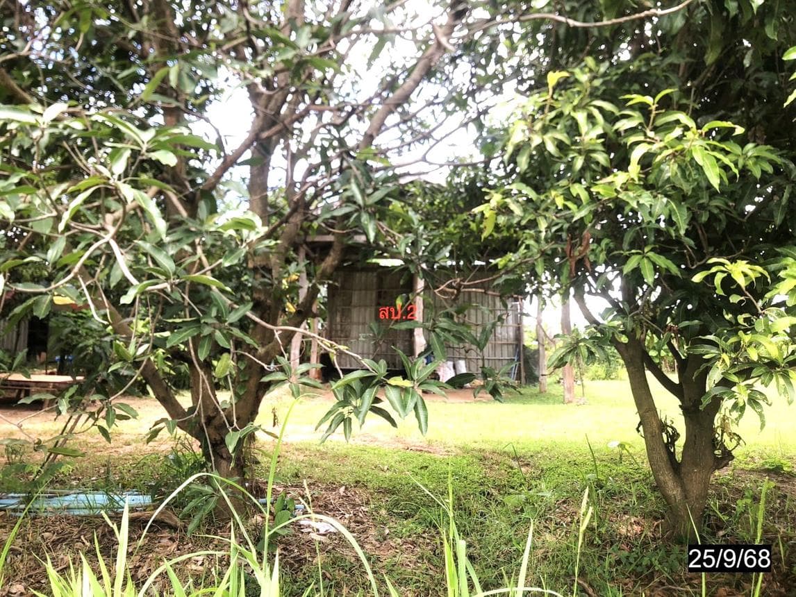 อาคารพาณิชย์ทำเลศักยภาพ หนองบัว หนองกุงศรี กาฬสินธุ์ พื้นที่ใช้สอย 189 ตร.ม. บนที่ดินกว้าง 98 ตร.ว.