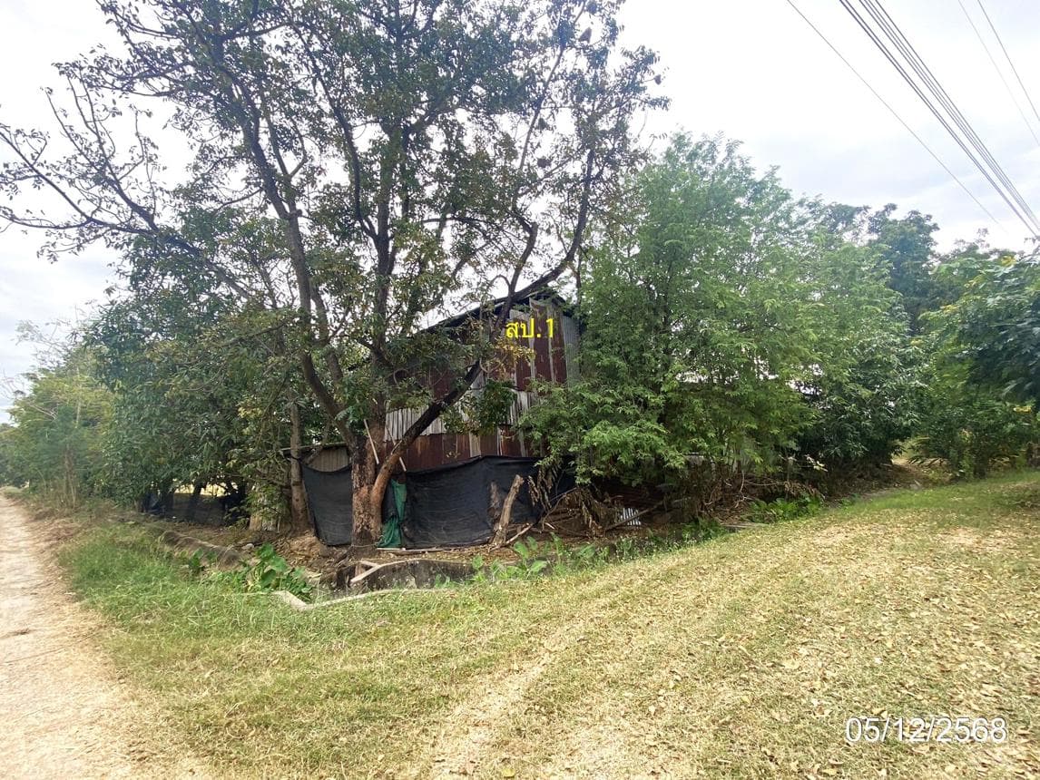บ้านเดี่ยวทำเลสงบ หนองบัว โกสุมพิสัย มหาสารคาม พื้นที่กว้าง 55 ตร.ว.