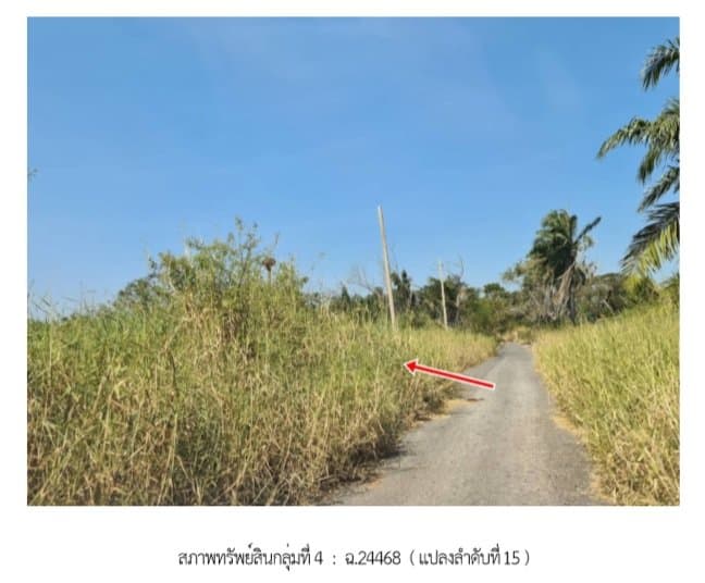 ที่ดินว่างเปล่า ฉลองกรุง ริเวอร์วิลล์ หนองจอก