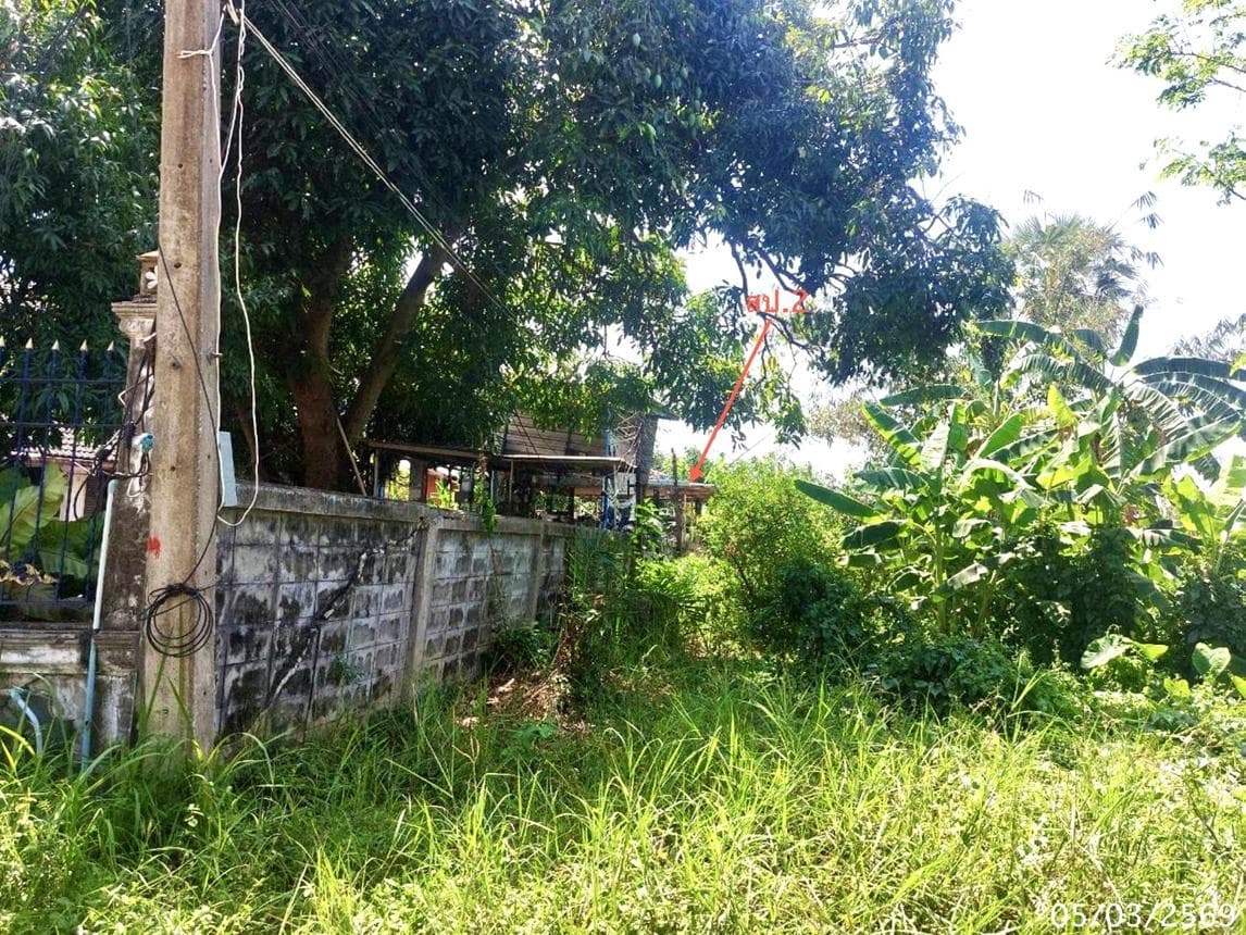 ขายบ้านเดี่ยวหรูหลังใหญ่ 5 ห้องนอน ทำเลหนองแค สระบุรี พื้นที่ใช้สอยระดับพรีเมียม
