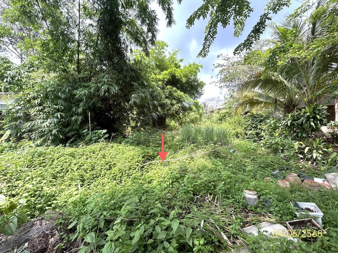 บ้านเดี่ยว พื้นที่ 198 ตร.ม. ทำเลศักยภาพ กุดแห่ เลิงนกทา ยโสธร