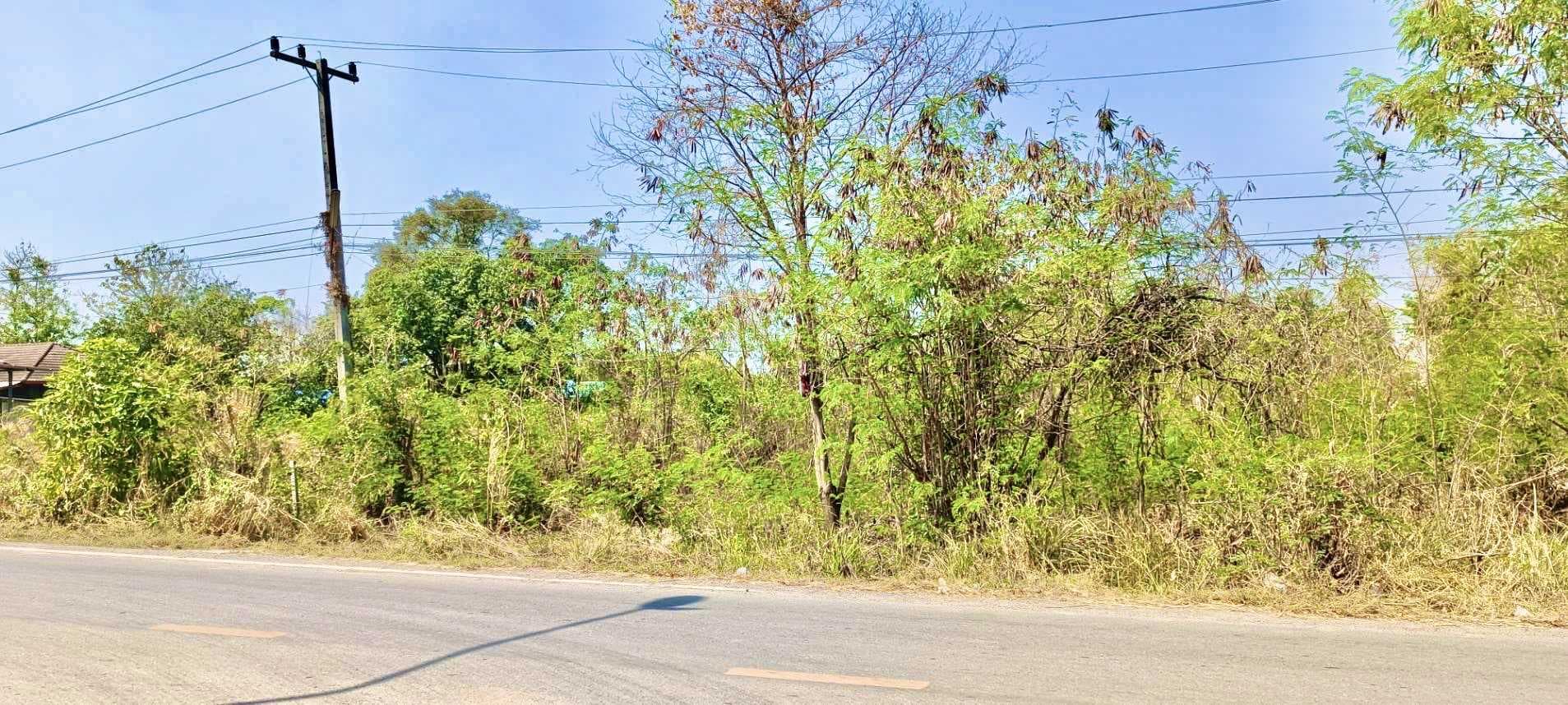 ขายด่วน !!!!! ที่ดินเปล่า 2 ไร่ 3 งาน 50.5ตร.ว ราคาถูก อ.หนองเเค จ.สระบุรี