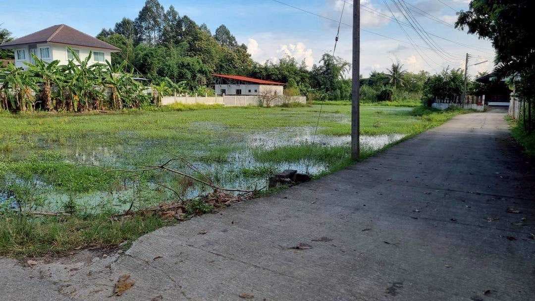 ขายที่ดิน 2 ไร่เศษ ราคา 4 ล้าน ใกล้มหาวิทยาลัยแม่โจ้ เชียงใหม่