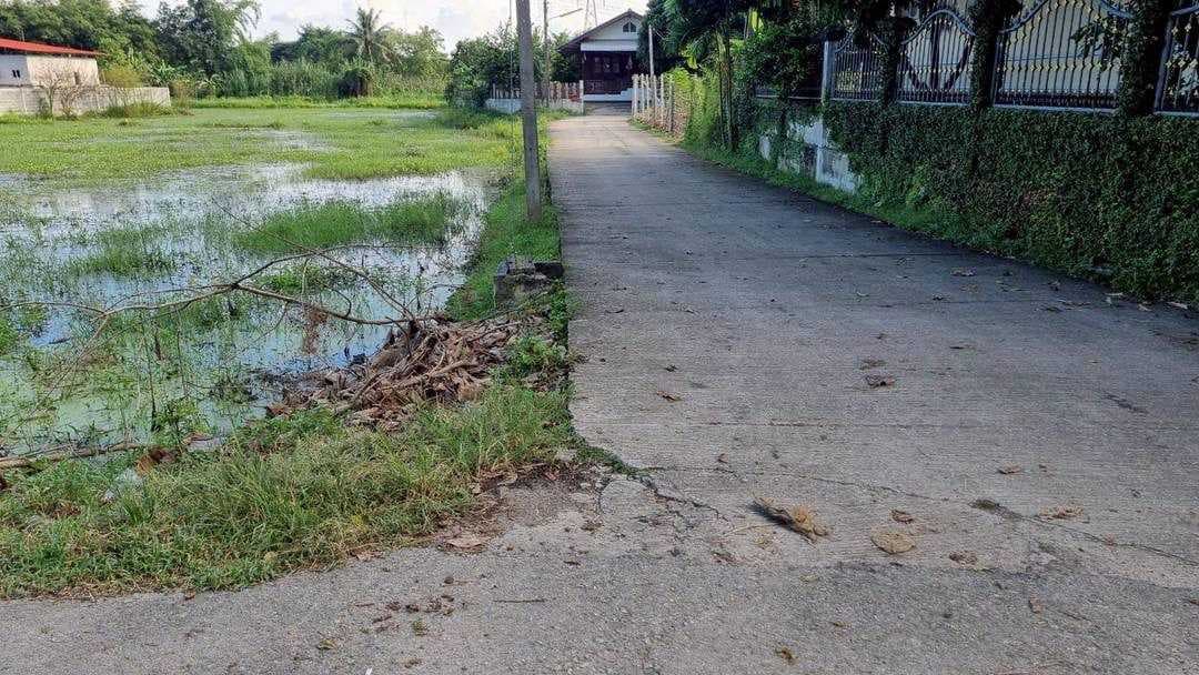 ขายที่ดิน 2 ไร่เศษ ราคา 4 ล้าน ใกล้มหาวิทยาลัยแม่โจ้ เชียงใหม่