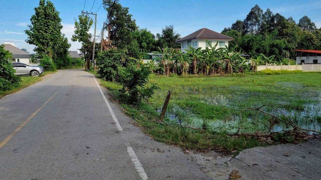 ขายที่ดิน 2 ไร่เศษ ราคา 4 ล้าน ใกล้มหาวิทยาลัยแม่โจ้ เชียงใหม่