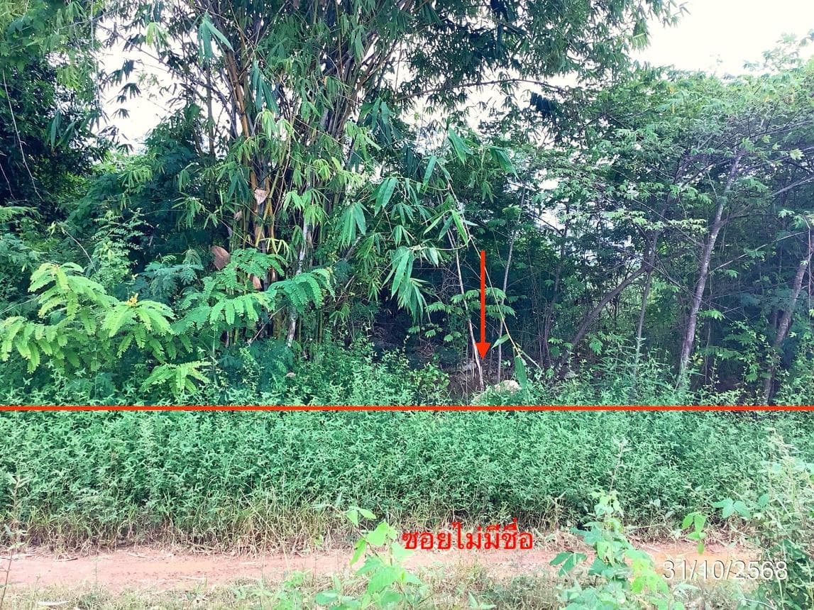 ขายที่ดินเปล่า พรานกระต่าย กำแพงเพชร ทำเลศักยภาพ พื้นที่ 43.5 ตร.ว.