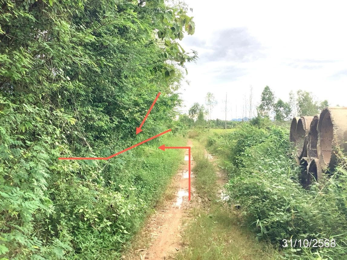 ขายที่ดินเปล่า พรานกระต่าย กำแพงเพชร ทำเลศักยภาพ พื้นที่ 43.5 ตร.ว.
