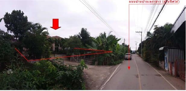 บ้านเดี่ยว บ้านเหล่ายาวเหนือ บ้านโฮ่ง-ลำพูน