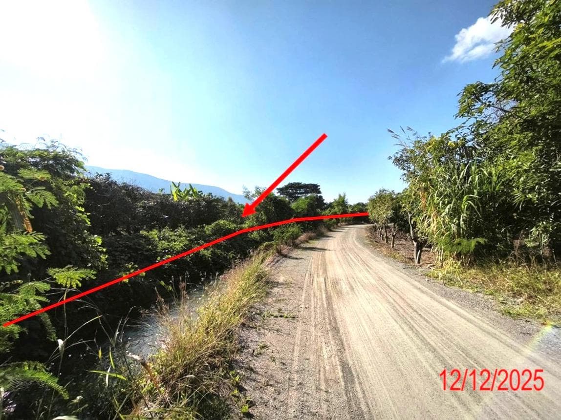 สวนเกษตร เนื้อที่ 55.2 ตร.ว. ทำเลศักยภาพ บ้านโฮ่ง บ้านโฮ่ง ลำพูน