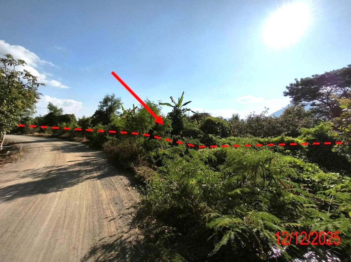 สวนเกษตร เนื้อที่ 55.2 ตร.ว. ทำเลศักยภาพ บ้านโฮ่ง บ้านโฮ่ง ลำพูน