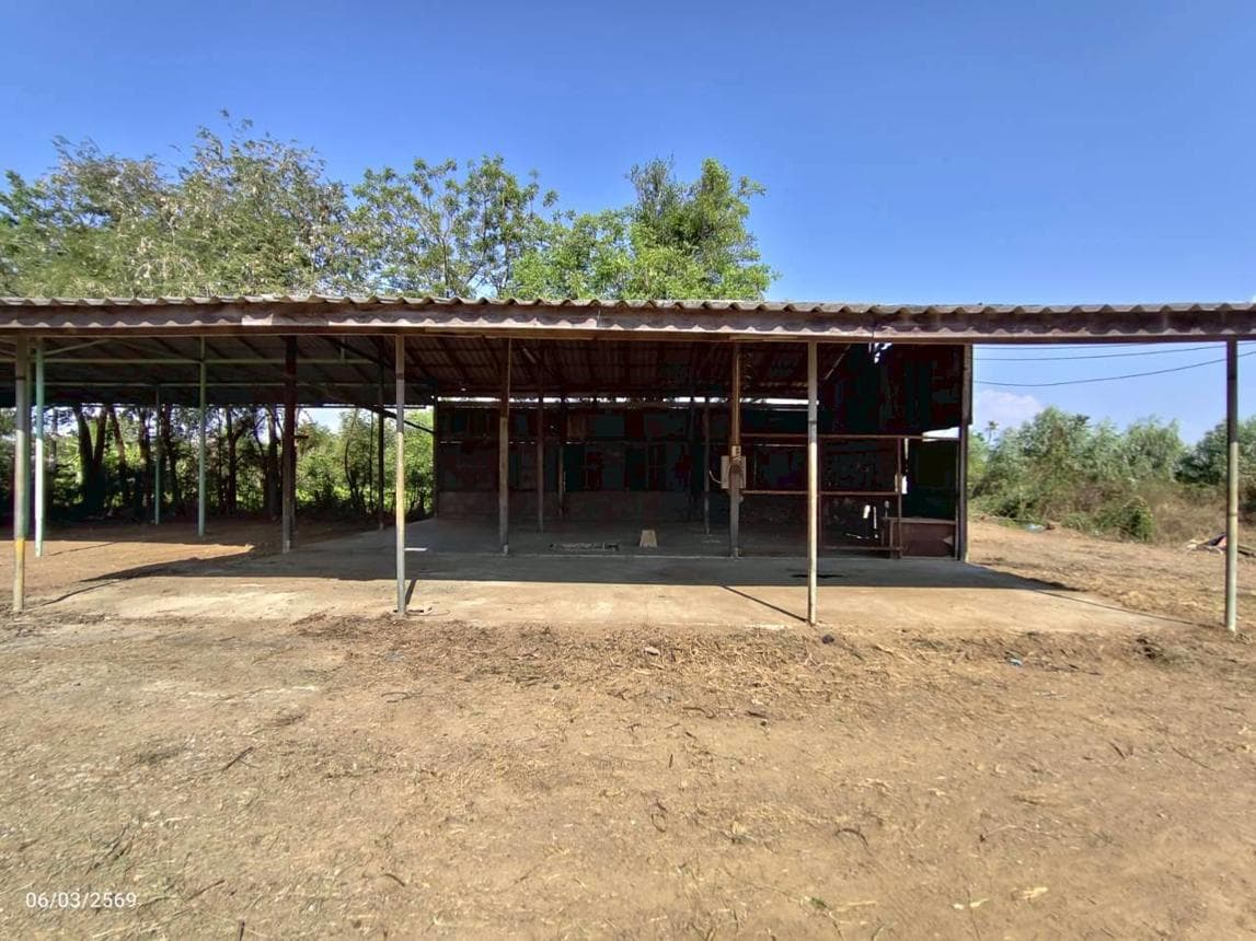 ขายบ้านเดี่ยว นางลือ เมืองชัยนาท 1 ห้องนอน พื้นที่ 80.5 ตร.ม. บนเนื้อที่ดิน 67 ตร.ว. ทำเลสงบเป็นส่วนตัวบรรยากาศดีนั่นเอง