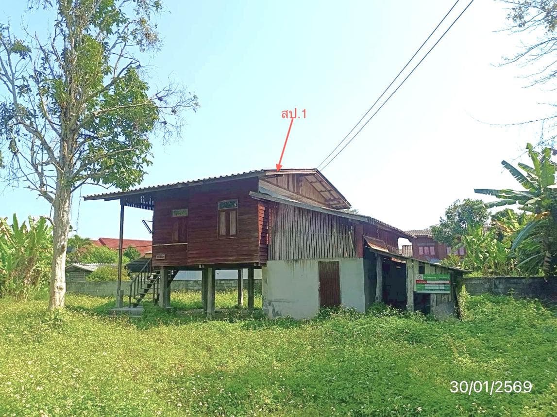 ขายบ้านเดี่ยว เมืองพาน เชียงราย ทำเลดี ใกล้ชิดธรรมชาติ พื้นที่ 59 ตร.ว.