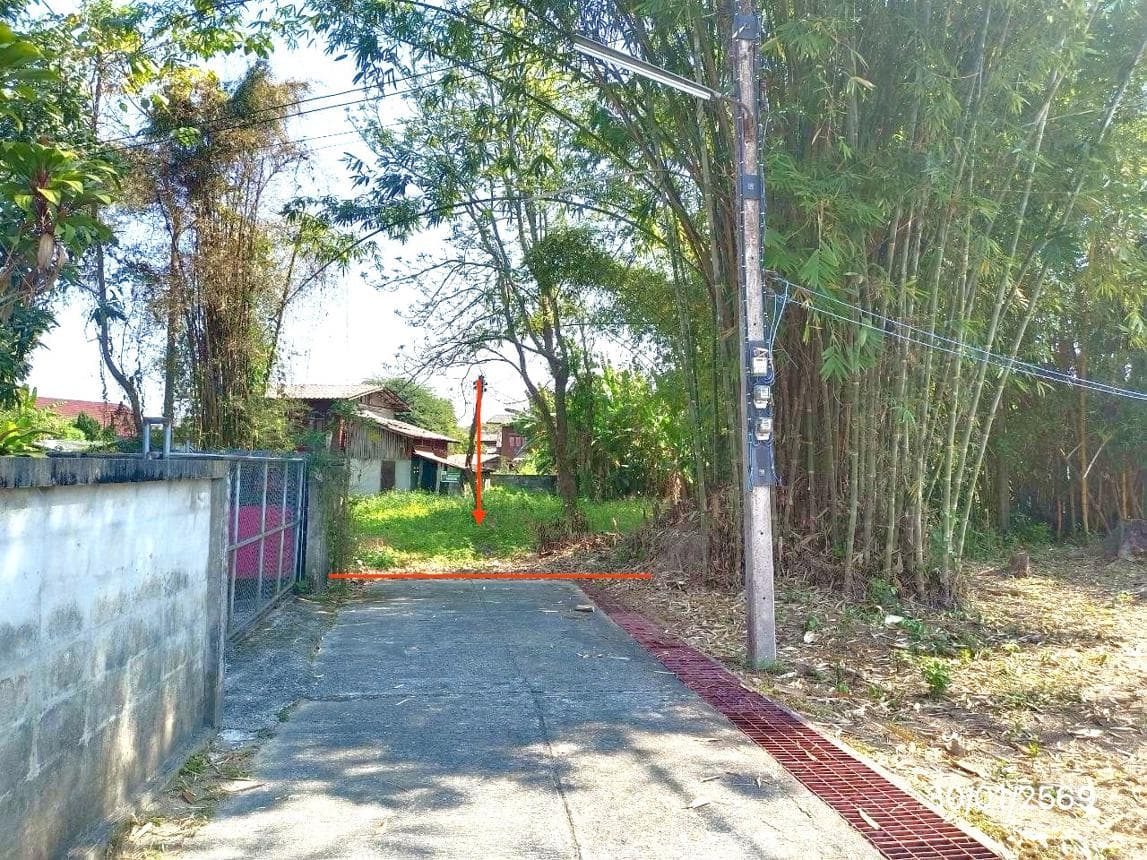 ขายบ้านเดี่ยว เมืองพาน เชียงราย ทำเลดี ใกล้ชิดธรรมชาติ พื้นที่ 59 ตร.ว.