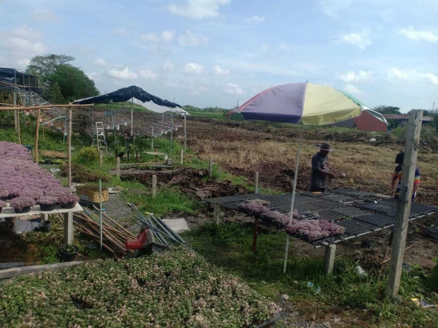 ขายที่ดินเปล่า ติดถนนธัญบุรี คลอง 9 (ขาออก) จ.ปทุมธานี เนื้อที่รวม 79 ไร่ 1 งาน 38 ตารางวา