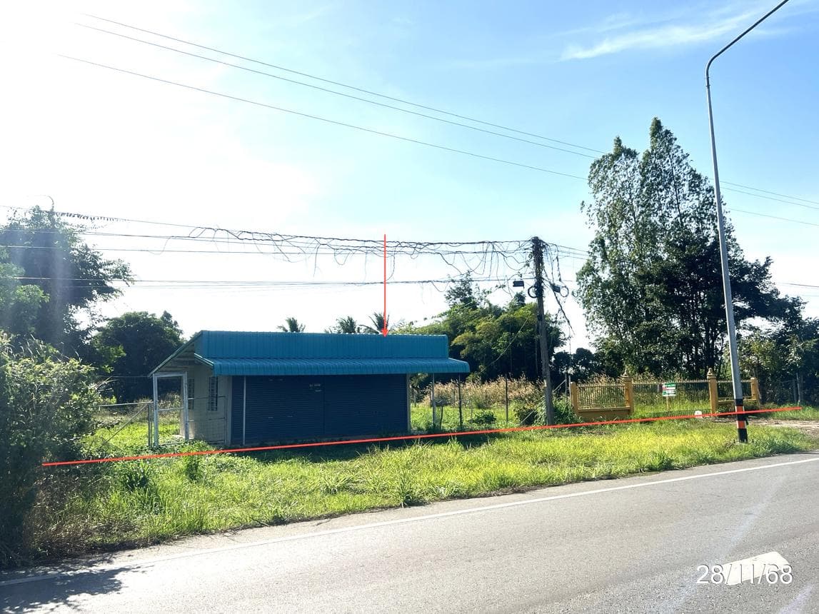 ขายฟาร์ม หนองแซง หันคา ชัยนาท พื้นที่ใช้สอย 160 ตร.ม. บนเนื้อที่ดินผืนใหญ่ 94.2 ไร่ ทำเลดีเพื่อการเกษตรนั่นเอง