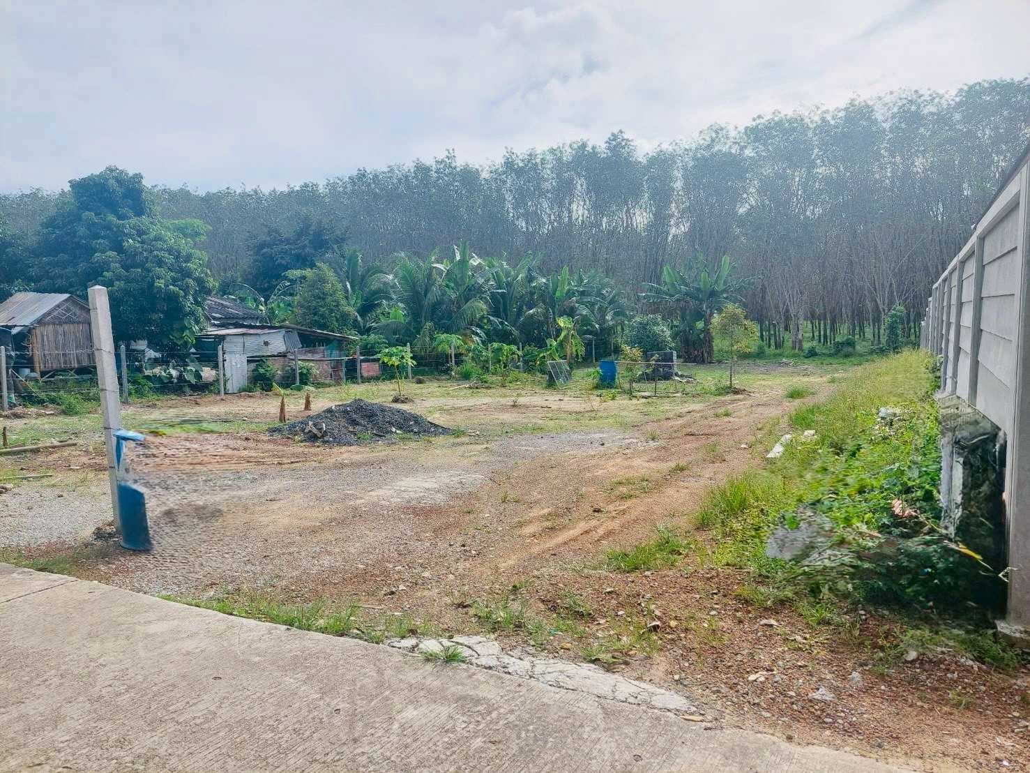 ขายที่ดิน!!! บนทำเลทองในภูเก็ต! โอกาสการลงทุนที่สมบูรณ์แบบ – ที่ดินขนาด 950 ตร.ม. ในพื้นที่ที่กำลังเติบโตของภูเก็ต PKT-OT-LAND-02
