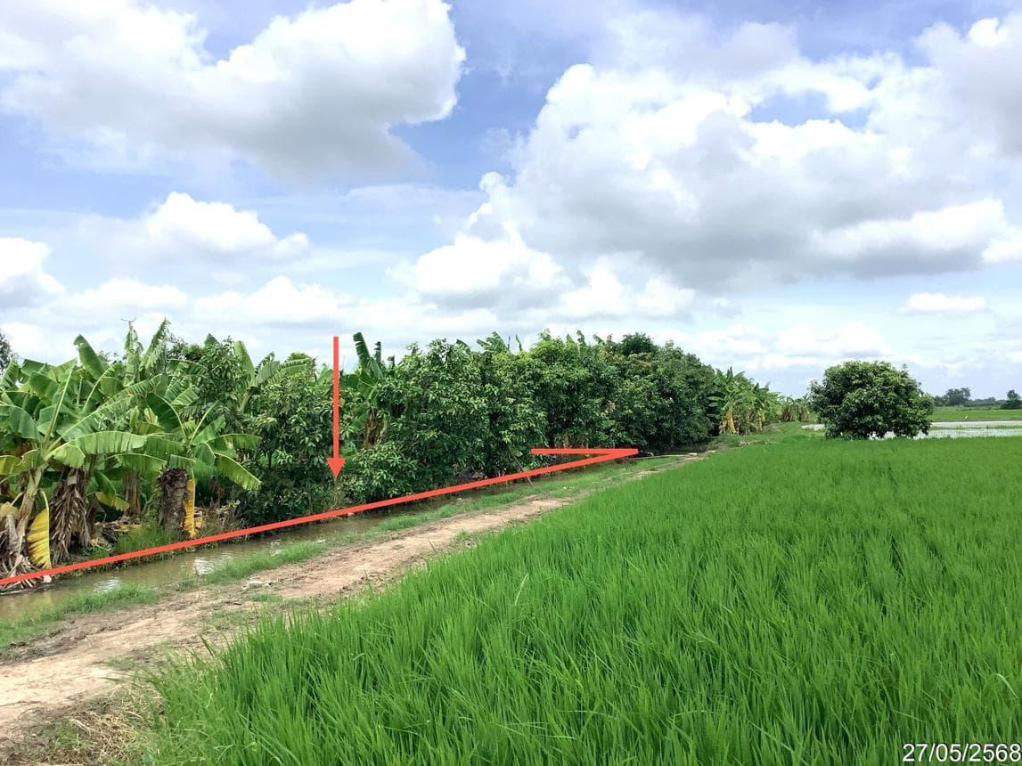 ขายที่ดินว่างเปล่า คลองขลุง คลองขลุง กำแพงเพชร