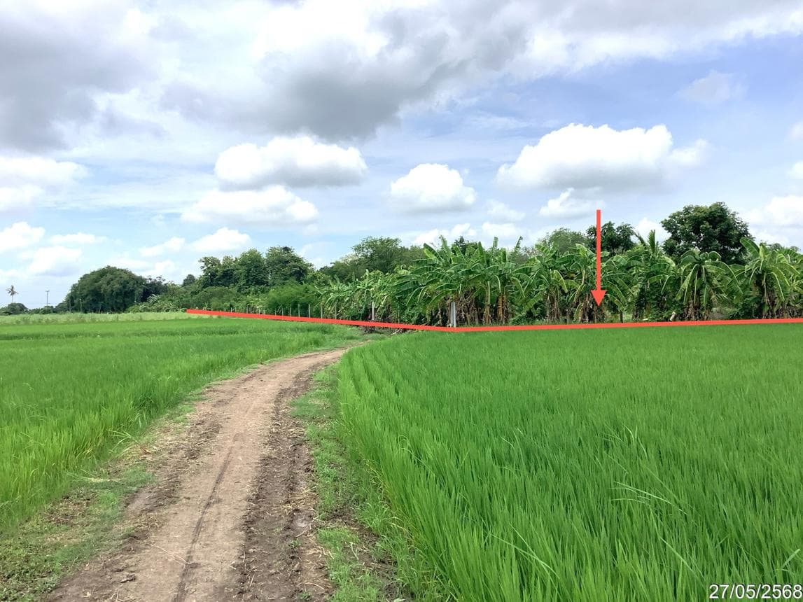 ขายที่ดินว่างเปล่า คลองขลุง คลองขลุง กำแพงเพชร