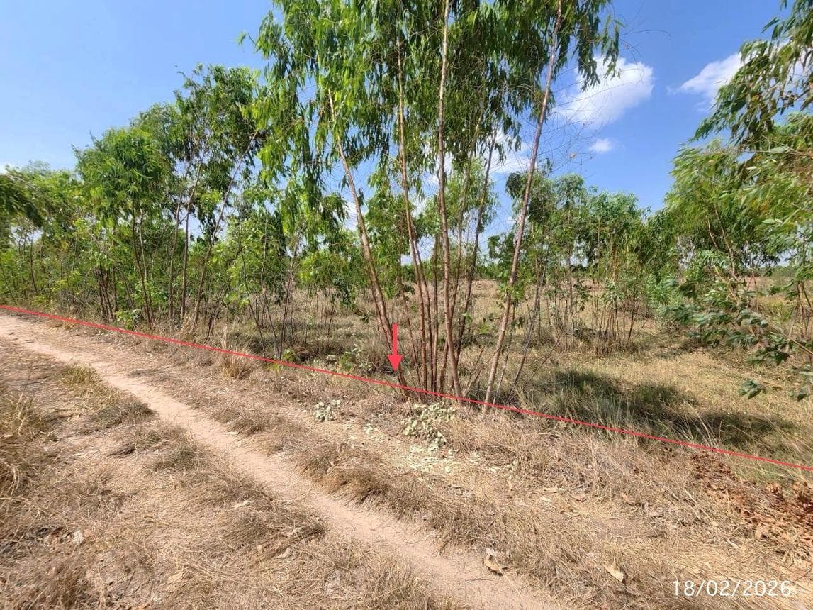 ขายที่ดินเปล่า สุวรรณภูมิ ร้อยเอ็ด ทำเลจำปาขัน เนื้อที่ 81 ตร.ว. สภาพดี เหมาะสำหรับสร้างบ้านพักอาศัยหรือทำการเกษตร